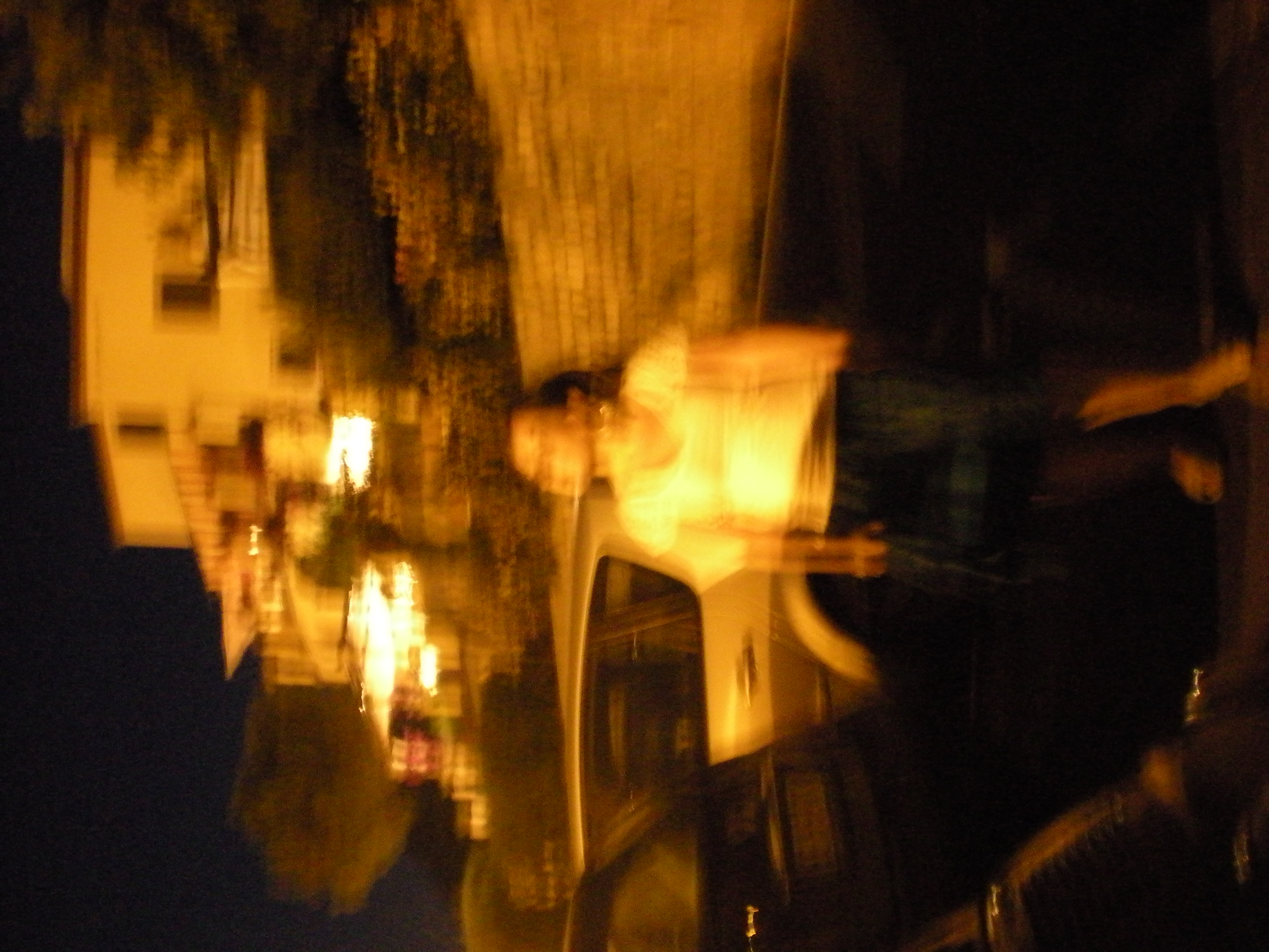 DSCN6019.JPG